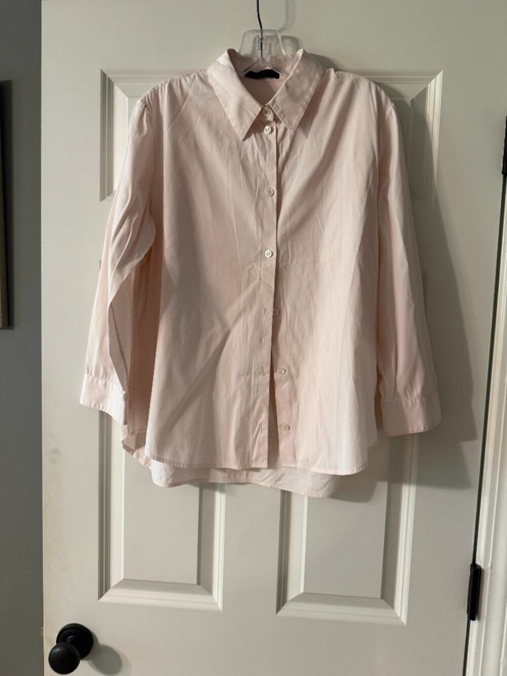 **The Row Pink Button Down Shirt**